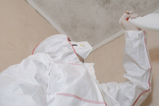 Best Professional Mold Removal  in Wilmington, OH